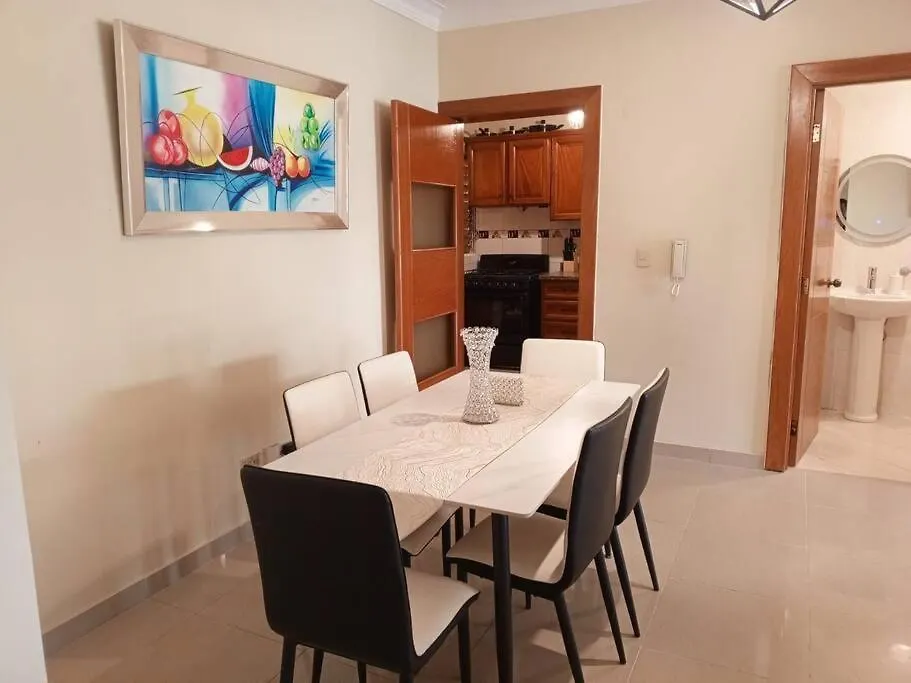 Central Oasis Work Or Explore The City Santo Domingo Apartment